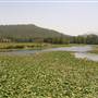 Clarrie Hall Dam