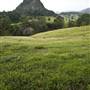 Tweed Valley 1 of 2