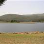 Clarrie Hall Dam
