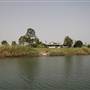 Tweed River - Murwillumbah