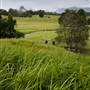 Tweed Valley 1 of 2