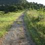 Tweed Valley 1 of 2