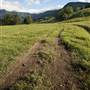 Tweed Valley 1 of 2