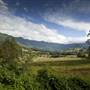 Tweed Valley 1 of 2