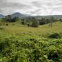 Tweed Valley 1 of 2