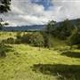 Tweed Valley 1 of 2