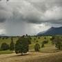 Tweed Valley 1 of 2