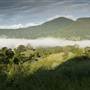 Tweed Valley 1 of 2