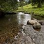 Tweed Valley 1 of 2