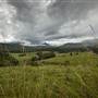 Tweed Valley 1 of 2