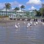 Yamba