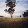 Parkes