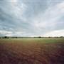 Parkes