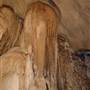 Wellington Caves Complex