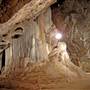 Wellington Caves Complex