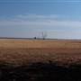 Weethalle