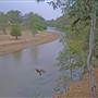 Whylandra Crossing, Dubbo