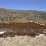Perisher