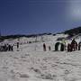 Perisher