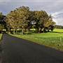 Robertson - Southern Highlands
