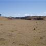 Picton Property