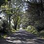 Robertson - Southern Highlands