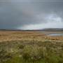 Snowy Mountains - Semi-Dry Steppes