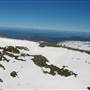 Snowy Mountains - Semi-Dry Steppes