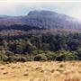 Thredbo Diggings campground - Kosciuszko National Park