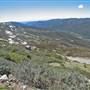 Thredbo