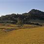 Tilba