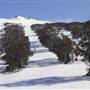 Thredbo