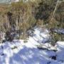Thredbo