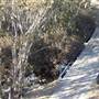 Thredbo
