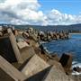 Wollongong