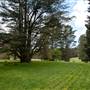 Parklands Country Garden & Lodges