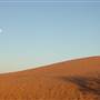 Perry Sandhills