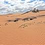 Perry Sandhills