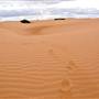 Perry Sandhills
