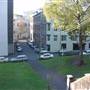 Surry Hills