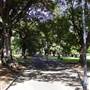 The Domain
