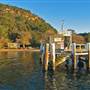 Currawong Beach Cottages & Basin Campground -  Ku-ring-gai Chase National Park