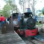 Timbertown