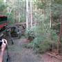 Timbertown