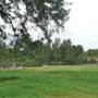 Yarramundi Reserve, Agnes Banks