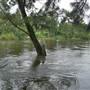 Yarramundi Reserve, Agnes Banks