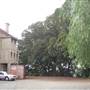 Kirkbride Callan Park