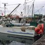 Sydney Fish Market