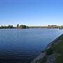 Taree