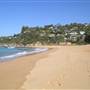 Whale Beach